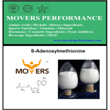 High Quality S-Adenosylmethionine with CAS No: 29908-03-0